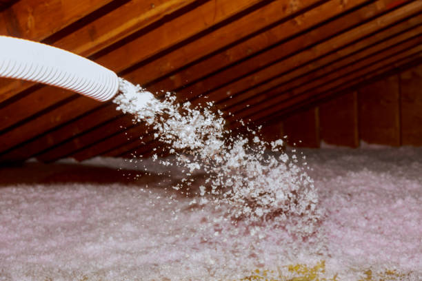 Best Cellulose Insulation in Harlem Heights, FL