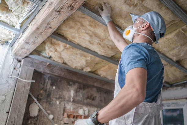 Best Eco-Friendly Insulation in Harlem Heights, FL