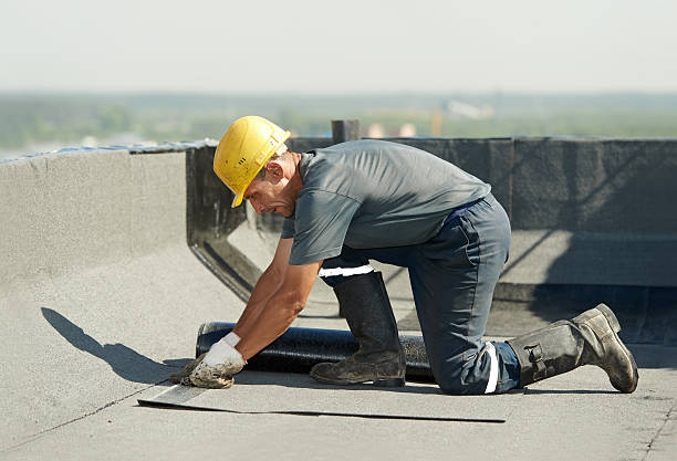 Best Blown-in Insulation in Harlem Heights, FL