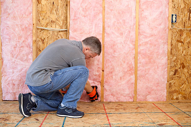 Best Insulation for Specific Applications in Harlem Heights, FL