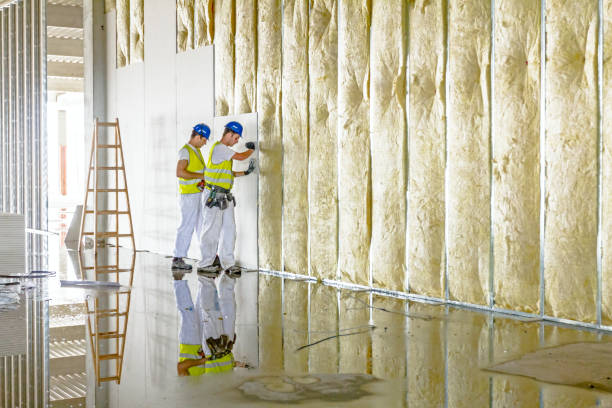Best Insulation Maintenance and Repair in Harlem Heights, FL